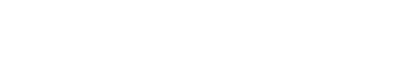 SalyqQorgau